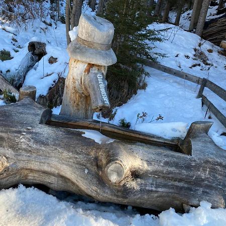 Ferienwohnung 4 Personen Alleinlage Am Wald Naehe Skigebiet Hochzeiger Jerzens Εξωτερικό φωτογραφία