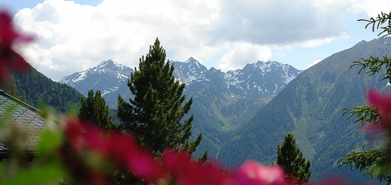 Ferienwohnung 4 Personen Alleinlage Am Wald Naehe Skigebiet Hochzeiger Jerzens Εξωτερικό φωτογραφία